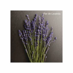 Eternity Aromatic Essence Parfum Intense - Image 2