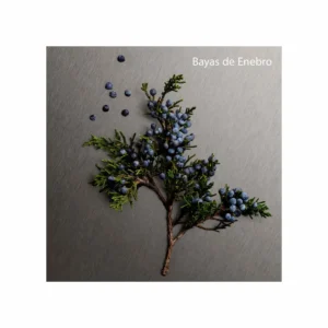 Eternity Men Aromatic Essence Parfum Intense - Image 7