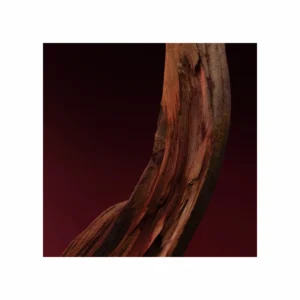 Boss The Scent Elixir for him Parfum Intense - Image 3