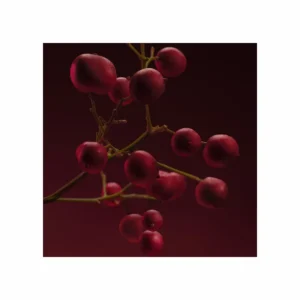 Boss The Scent Elixir for her Parfum Intense - Image 7