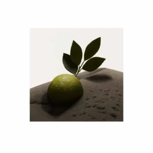 Burberry Hero Eau de Toilette - Image 4