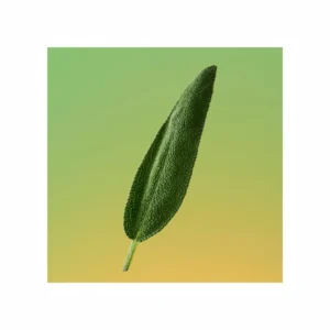 Eternity For Men Eau de Parfum - Image 3