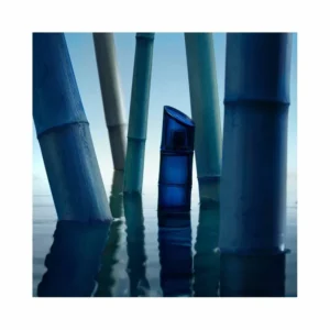 Kenzo Homme Intense Eau de Toilette - Image 3