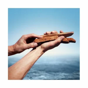 Kenzo Homme Intense Eau de Toilette - Image 6