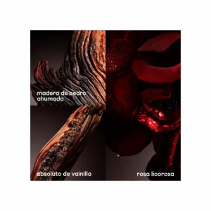 1 Million Elixir Parfum Intense - Image 5