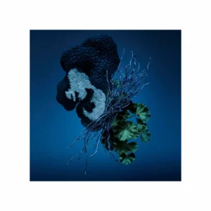 Bad Boy Cobalt Eau de Parfum Électrique - Image 6