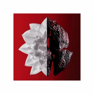 L’Interdit by Givenchy Eau de Parfum Rouge Ultime - Image 3