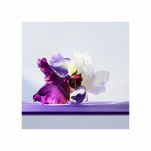 Bvlgari Omnia Amethyste Eau de Toilette - Image 6