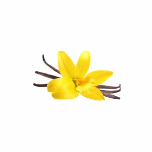 Naturalium Shower Gel Vanilla - Image 2